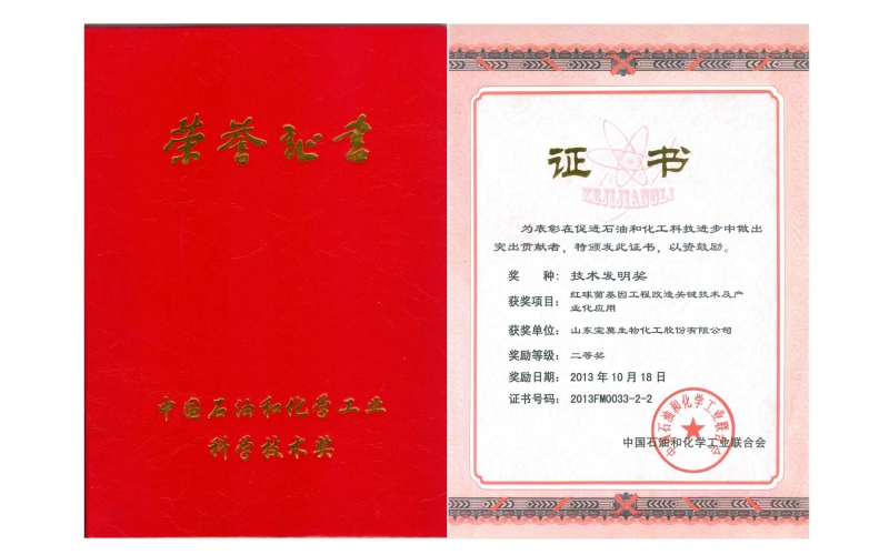 公司獲國(guó)家“技術(shù)發(fā)明”二等獎(jiǎng)